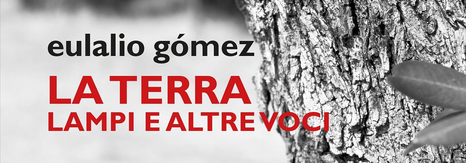 La terra. Lampi e altre voci di fr. Eulalio Gómez