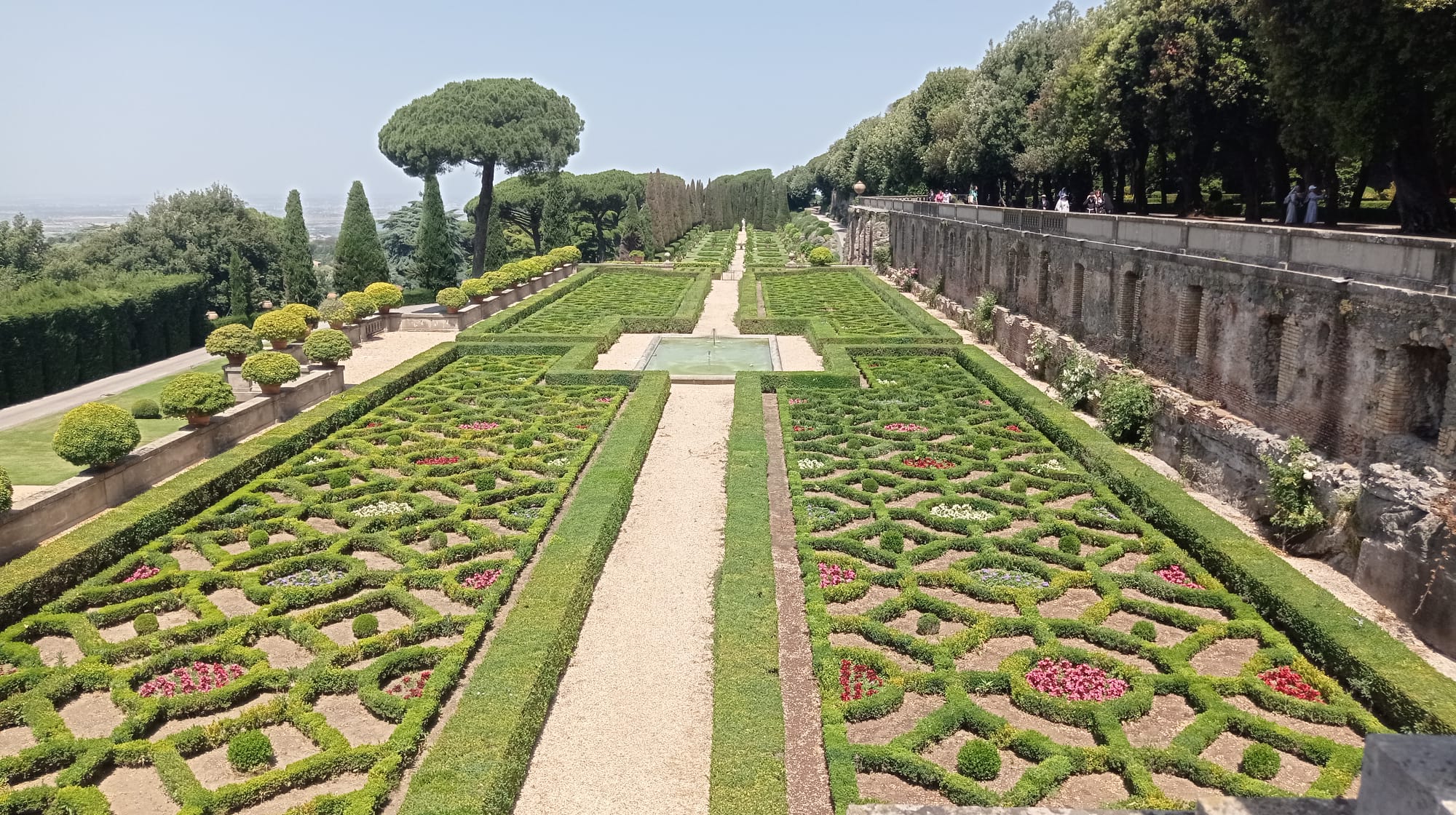 Mofra Toscana a Castel Gandolfo 1